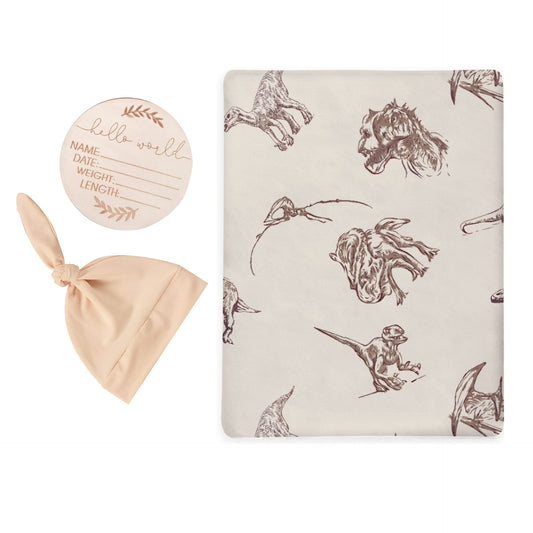 Dino Sketch Swaddle & Luxe Knot Hat, Wooden Plaque Set