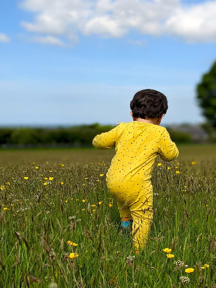 Yellow Starry Zippy