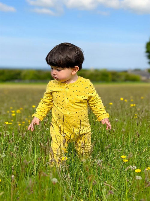 Yellow Starry Zippy